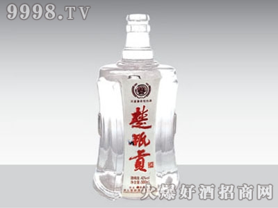 ۩ǺƿƿGB-003 500ml